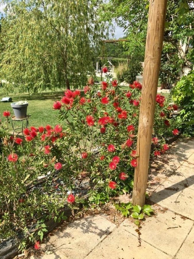 Bed and Breakfast La Vignarelle Callas Екстер'єр фото